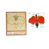 Farebné botanické puzzle aktivity - Kvet - Nemčina