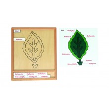 Farbiges Botanik-Puzzle-Aktivitätsset-Blatt - Deutsch