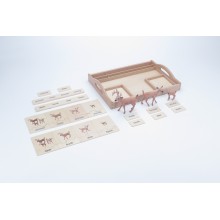 Tierfamilie - Reh - Englisch