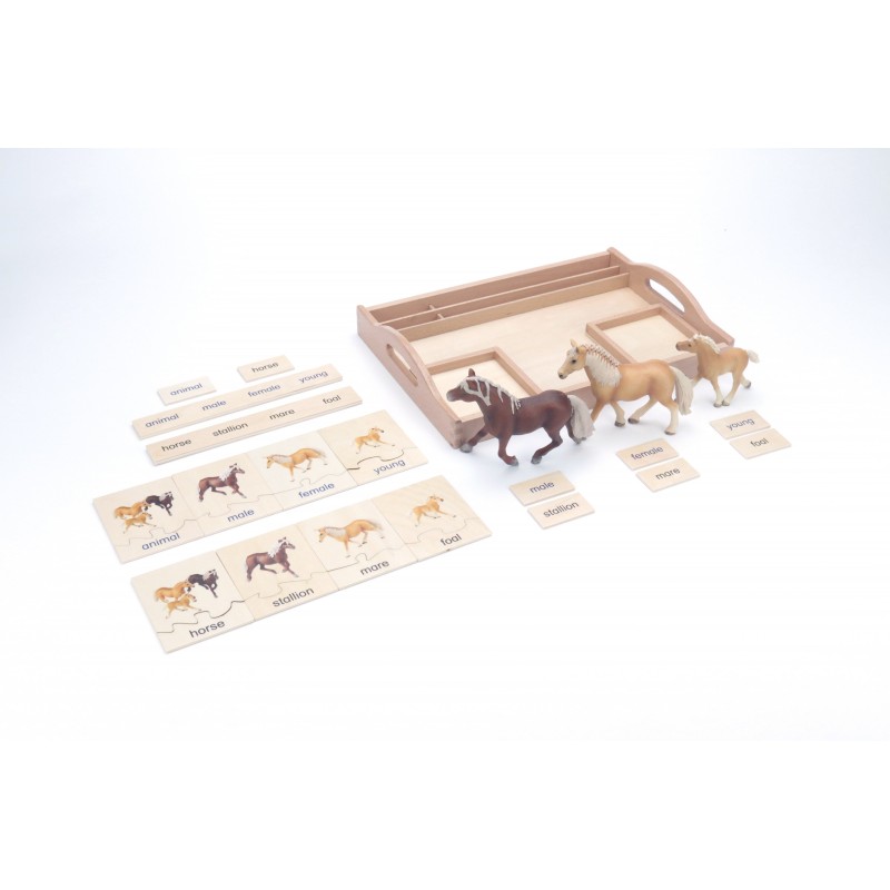 Tierfamilie - Pferd - Englisch
