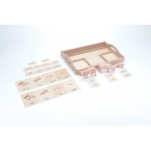 animal family - pig - English