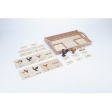 Tierfamilie - Huhn - Deutsch