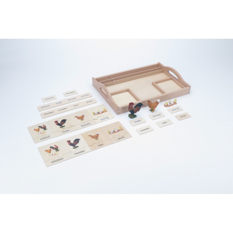 Tierfamilie - Huhn - Deutsch