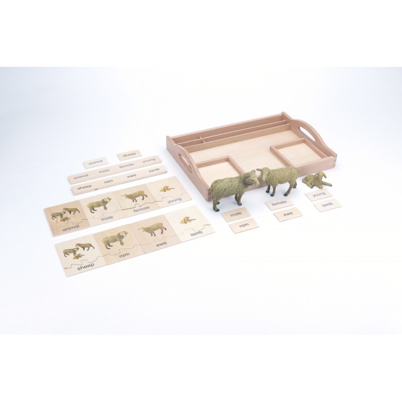 Tierfamilie - Schaf - Deutsch