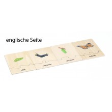 Life Cycle Set of a Butterfly - German/English