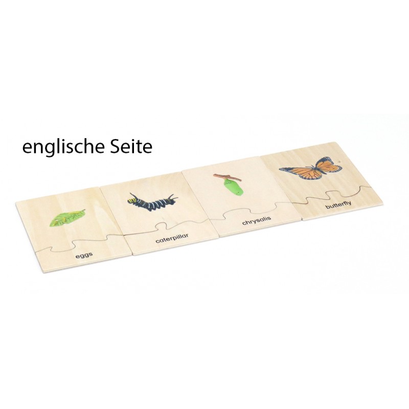 Lebenszyklus - Schmetterling - Arbeitsmaterial - Deutsch/Englisch