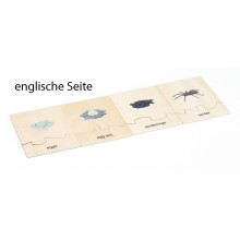 Životný cyklus - pavúk - pracovný materiál - nemčina/angličtina