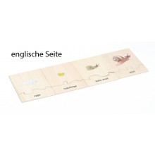 Životný cyklus - slimák - pracovný materiál - nemčina/angličtina