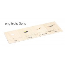 Lebenszyklus - Tausendfüßler - Arbeitsmaterial - Deutsch/Englisch