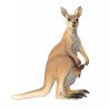 Klassifikationskarten - Deutsch + Tiere aus Australien
