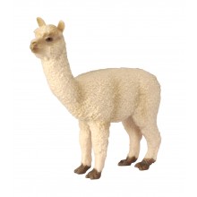 Klassifikationskarten - Deutsch + Tiere aus Südamerika