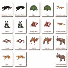 Klassifikationskarten - Deutsch + Tiere aus Asien