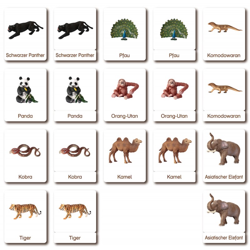 Klassifikationskarten - Deutsch + Tiere aus Asien