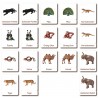Klassifikationskarten - Deutsch + Tiere aus Asien