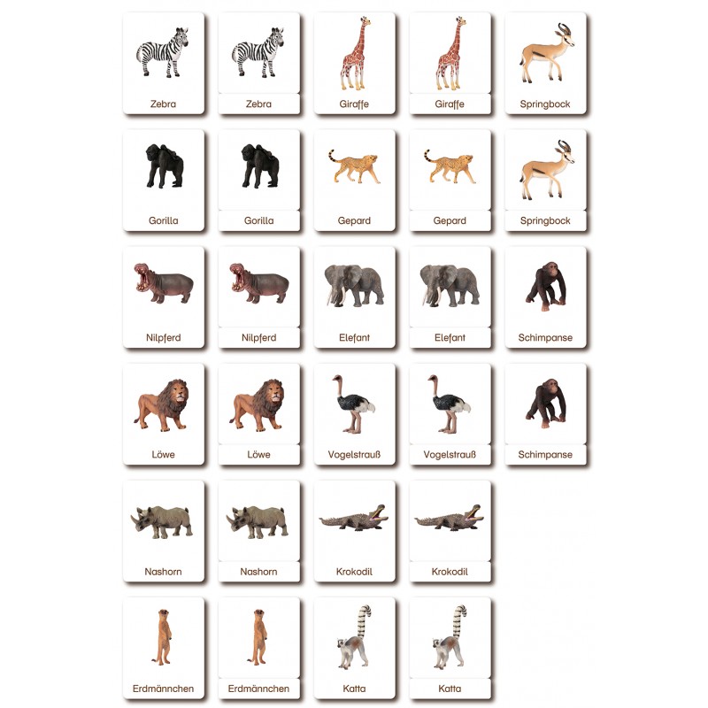 Klassifikationskarten - Deutsch + Tiere aus Afrika