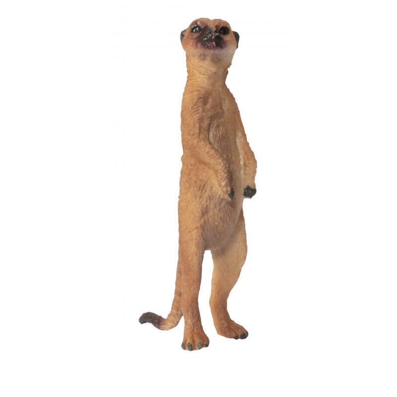 Klassifikationskarten - Deutsch + Tiere aus Afrika