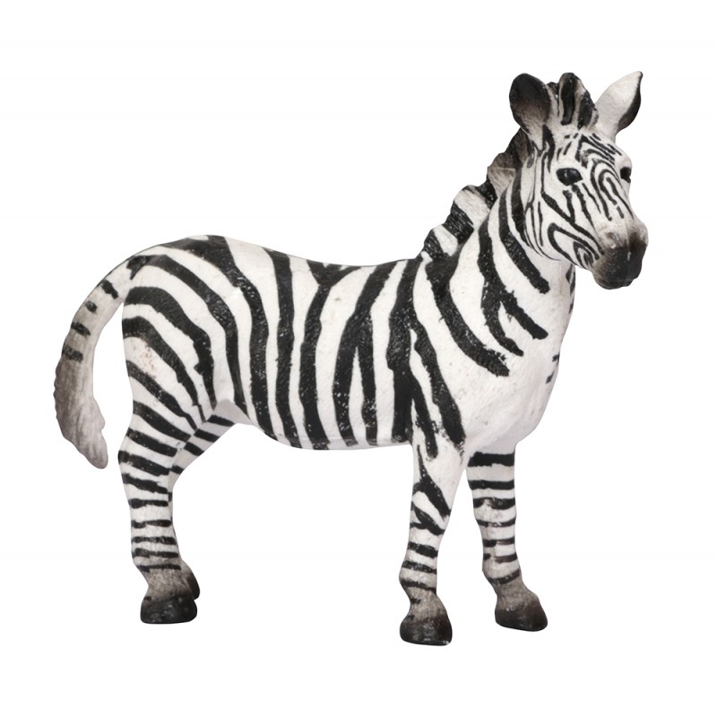 Klassifikationskarten - Deutsch + Tiere aus Afrika
