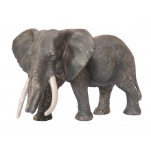 Tiere aus Afrika