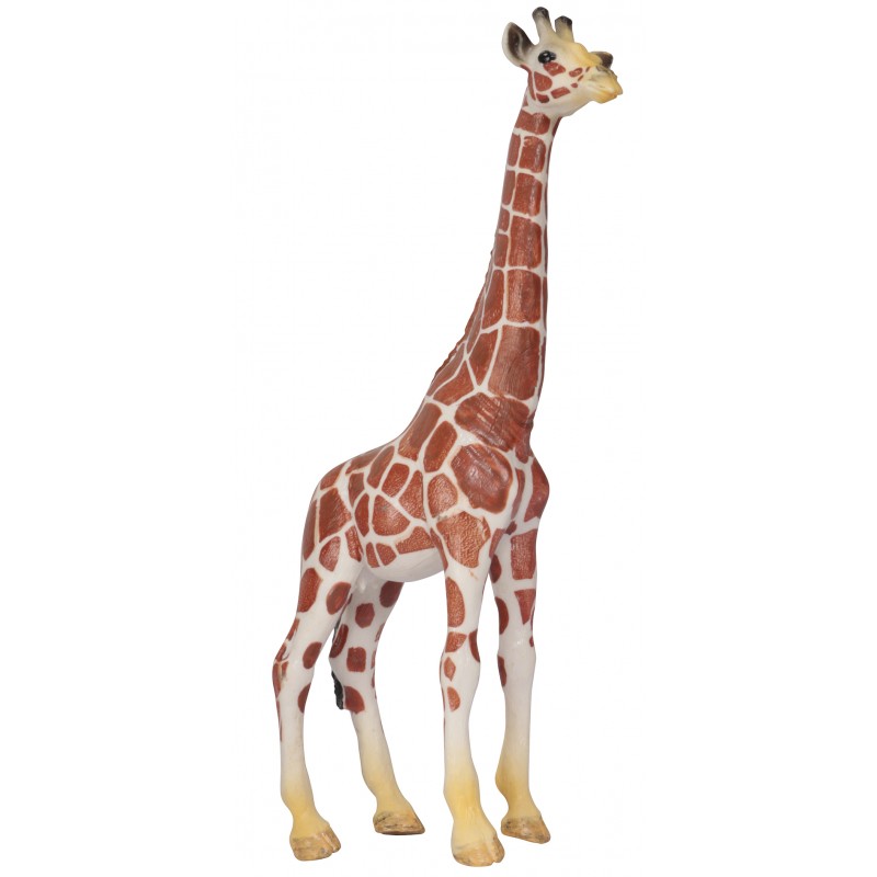 Klassifikationskarten - Deutsch + Tiere aus Afrika