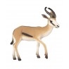 Tiere aus Afrika