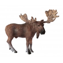 Klassifikationskarten - Deutsch + Tiere aus Europa