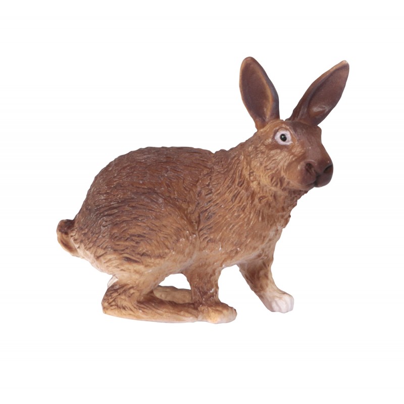 Klassifikationskarten - Deutsch + Tiere aus Europa