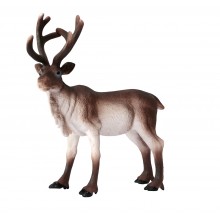 Klassifikationskarten - Deutsch + Tiere aus Europa