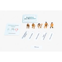 Evolution of Humans (Research Set)