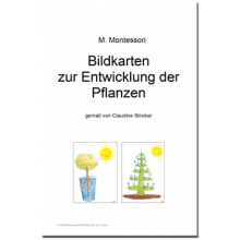 Bildkarten zur Entwicklung der Pflanzen