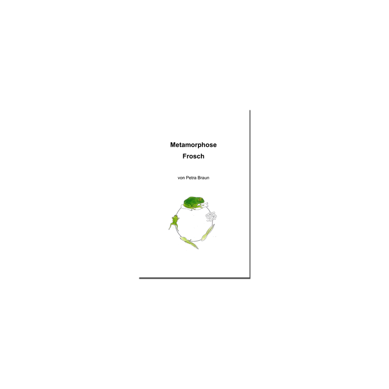 Forscherheft Metamorphose Frosch