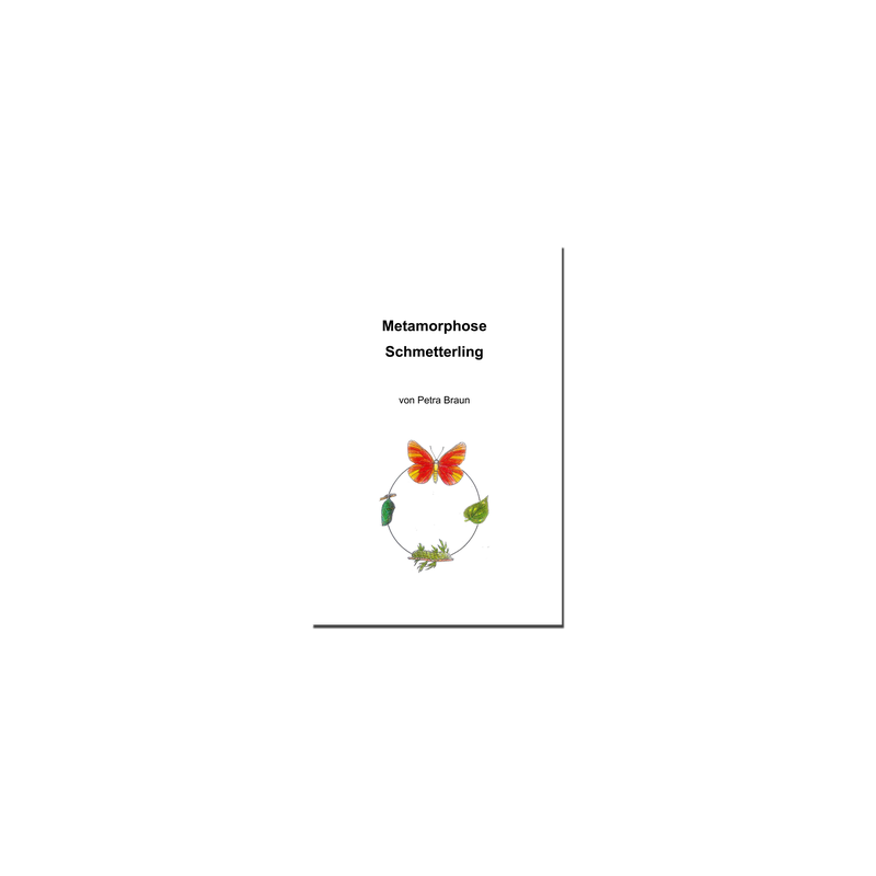 Forscherheft Metamorphose Schmetterling