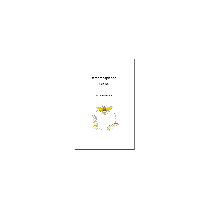 Forscherheft Metamorphose Biene
