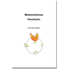 Research Notebook Metamorphosis Chicken