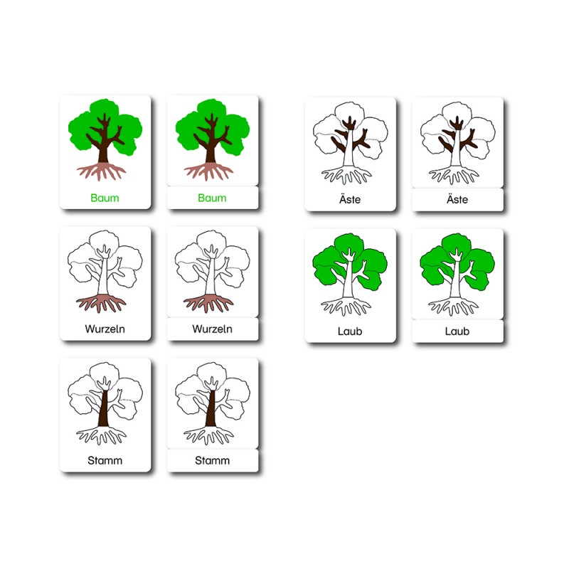 Baum - drei Teilekarten - Deutsch