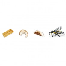 Insekten Set