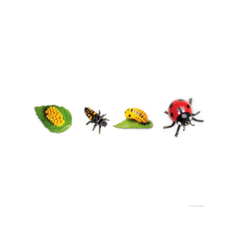 Insekten Set