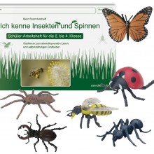 Insect set