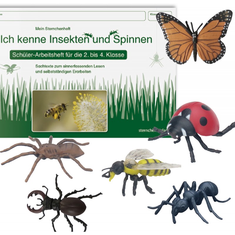 Insekten Set