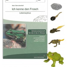 Lebenszyklus Frosch - Set