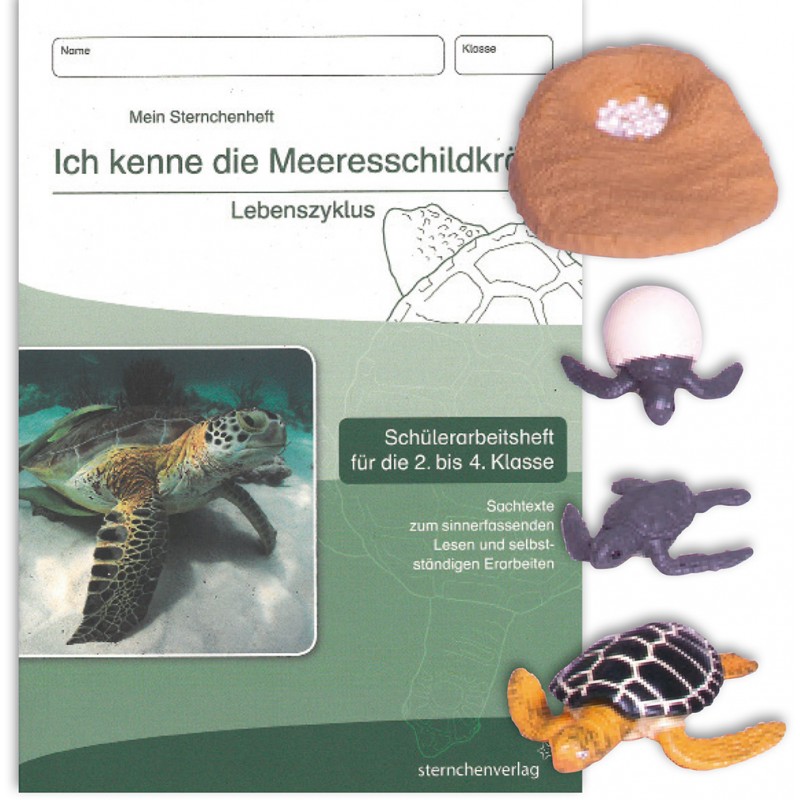 Lebenszyklus Meeresschildkröte