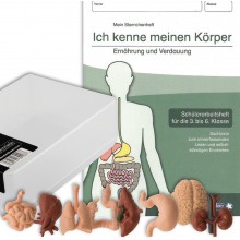 Ľudské orgány - moja zbierka