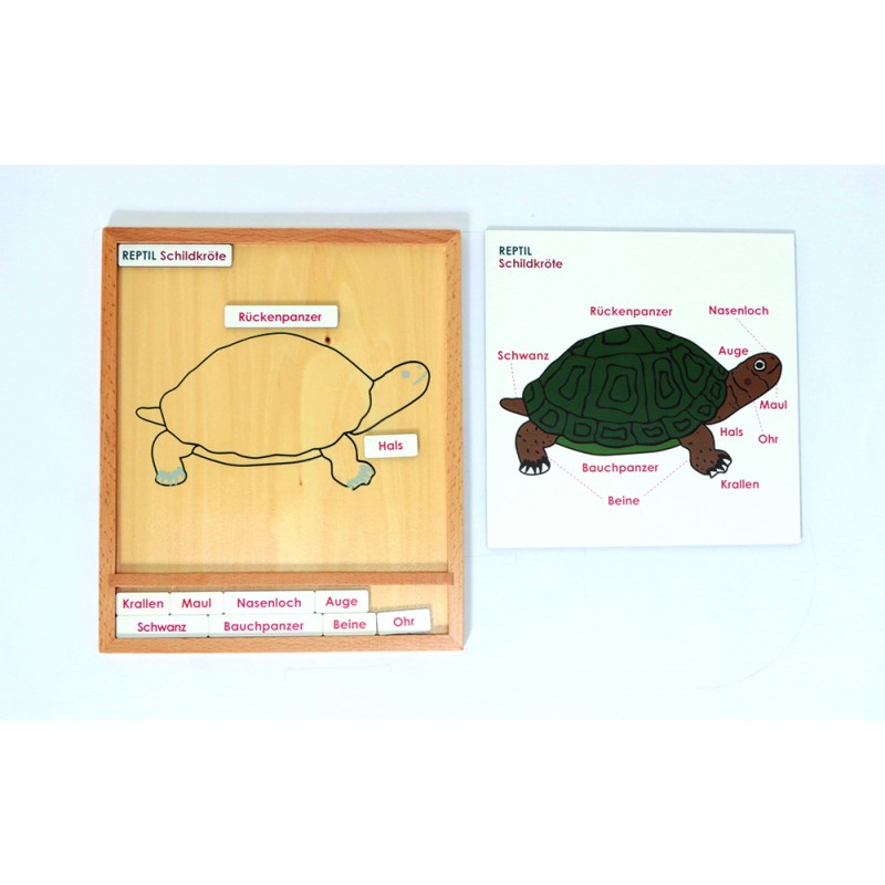 Aktivitätspuzzle Set