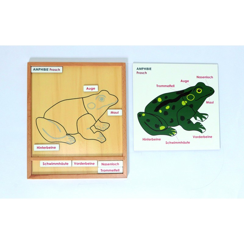 Aktivitätspuzzle Set Tiere