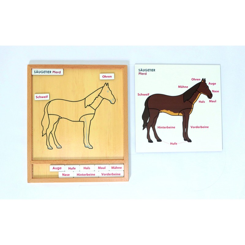 Aktivitätspuzzle Set
