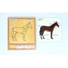 Aktivitätspuzzle Set Tiere