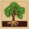 Activity puzzle set plants