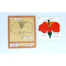 Set puzzle aktivít rastlín