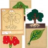 Activity puzzle set plants