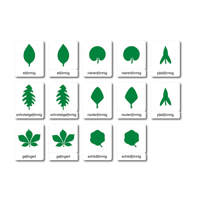 Botany - Classification Maps - German