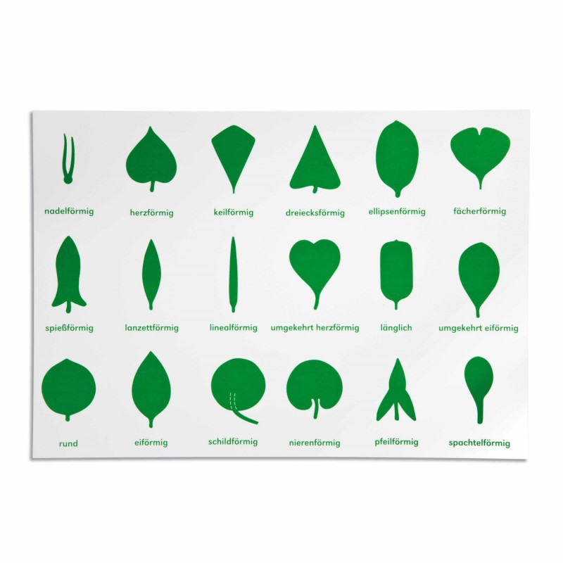 Lernplakat Botanische Kommode